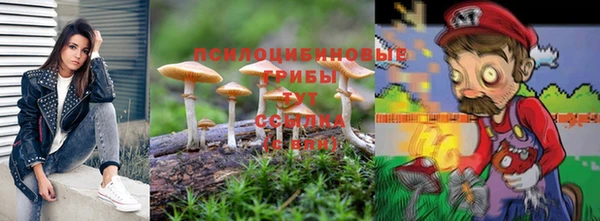 каннабис Богородицк