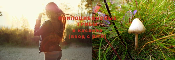 дживик Богданович