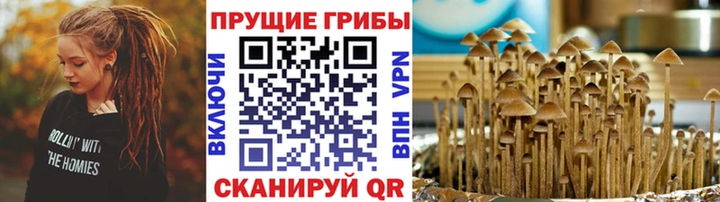 Псилоцибиновые грибы мицелий  Купить где  Семёнов 